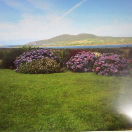 Ocean View B&B Killarney Extérieur photo
