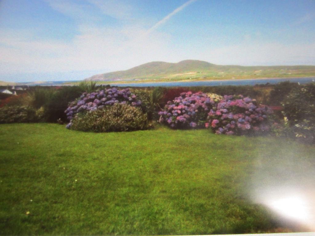 Ocean View B&B Killarney Extérieur photo